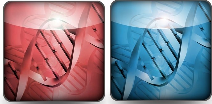 DNA twins
