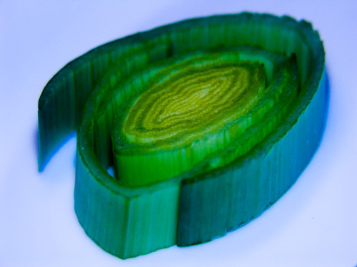 tor