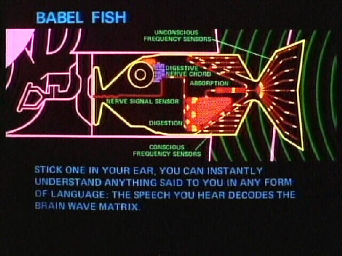 New device in your ear that translates foreign languages! 3 real-time-translator-ear-waverly-labs-1