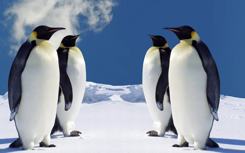 Linux για αρχάριους: Γιατί Linux; 1 linux