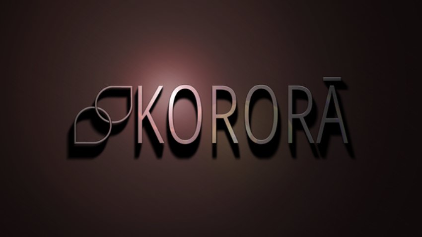 The 8 Linux distributions we prefer (without Ubuntu) 7 korora