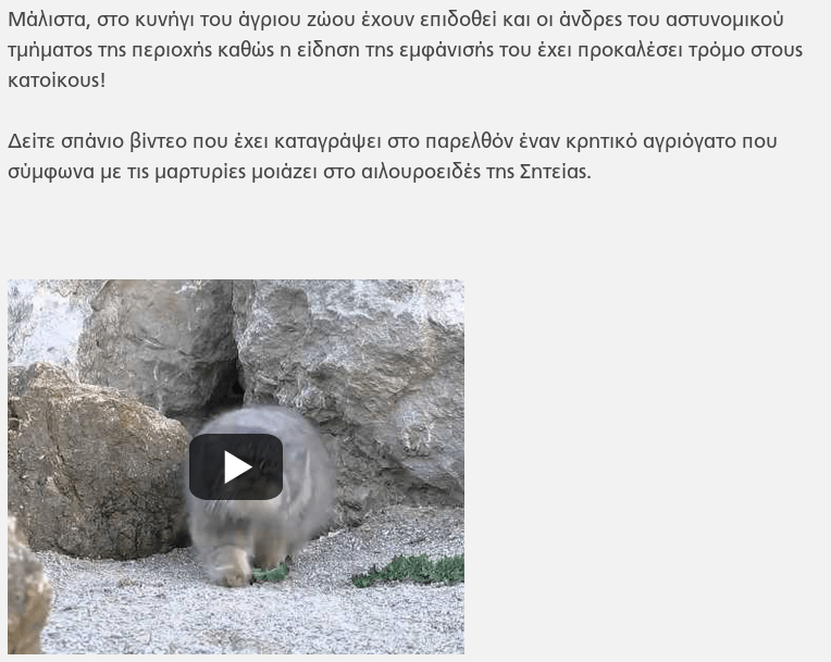 gatos Hoax
