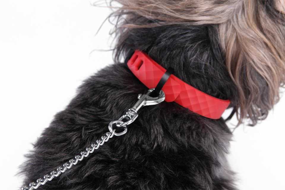 Kyon, the smart collar that can calm your dog 2 Kyon, the smart collar that can calm your dog