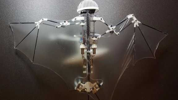 Robot simulates bat flight 2 bat