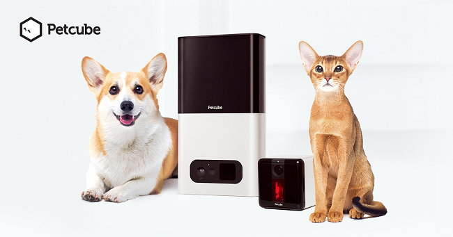 Amazon has 6 pet products cheaper today Amazon has pet products cheaper today