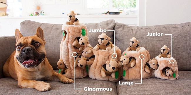 Amazon has 5 pet products cheaper today Amazon has pet products cheaper today