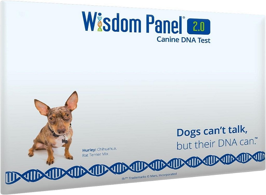 Amazon has pet products cheaper today 2 Amazon has pet products cheaper today