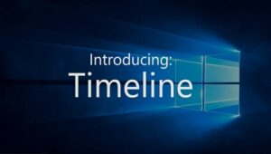 Timeline