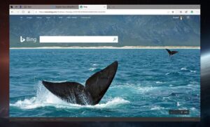 Γιατί οι Windows 10 χρήστες αντιπαθούν τον Microsoft Edge; 1 Microsoft Edge