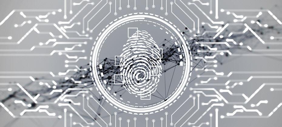 Protect your digital identity from phishing attacks