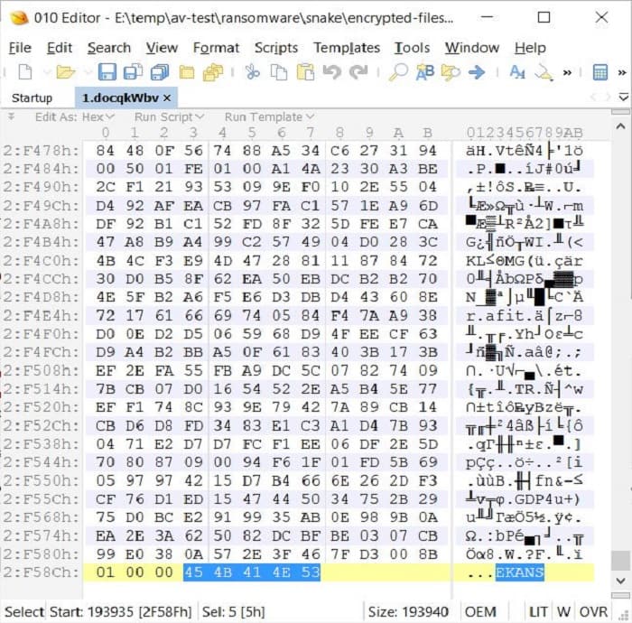 SNAKE Ransomware: Η νέα απειλή για τα εταιρικά δίκτυα 3 SNAKE Ransomware