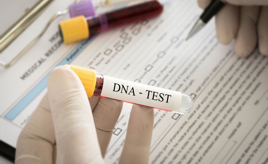 Gedmatch: investigating how authorities obtained 2 users' DNA data DNA kit