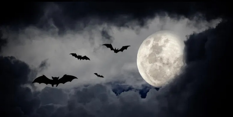 πανσέληνος Halloween