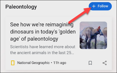Google Discover Feed