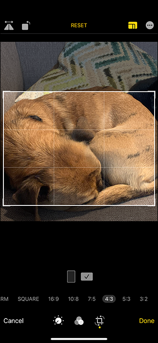 iPhone: How to take square photos