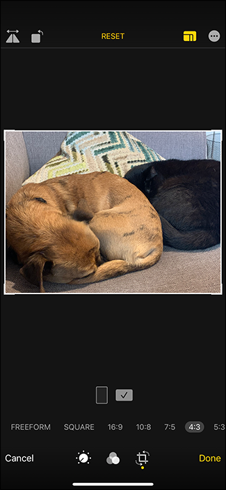 iPhone: How to take square photos