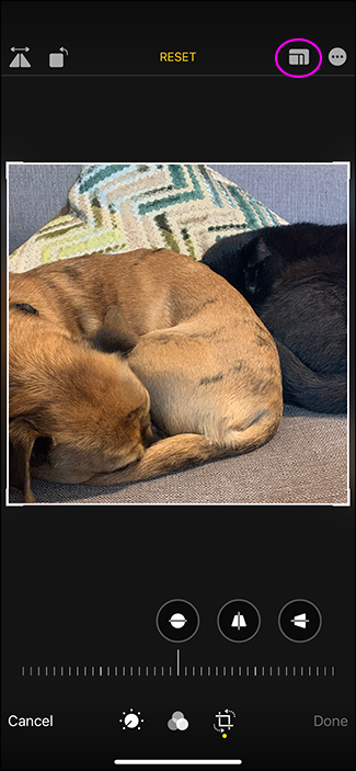 iPhone: How to take square photos