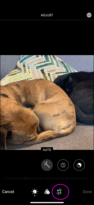 iPhone: How to take square photos