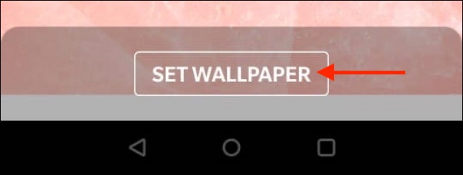 How to set your own wallpaper in WhatsApp chats 5 How to set your own wallpapers in WhatsApp chats