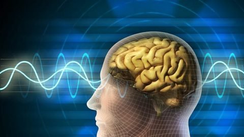Θεραπεία με βλαστοκύτταρα απορροφά τα σήματα του πόνου πριν φτάσουν στον εγκέφαλο