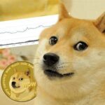 Elon Musk προς κατόχους Dogecoin: "Πουλήστε τα περισσότερα από τα νομίσματα σας" 1 Dogecoin