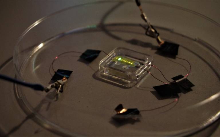 Ερευνητές ανέπτυξαν light-up OLED tattoos που παρακολουθούν την υγεία σας 2 Ερευνητές ανέπτυξαν light-up OLED tattoos που παρακολουθούν την υγεία σας