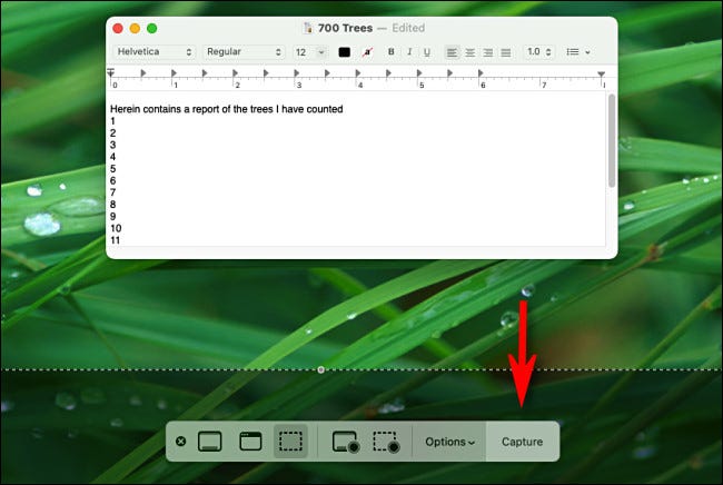 mac screenshot