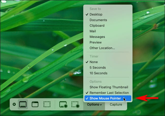 Mac: How to take a screenshot with the mouse cursor visible 2 Mac