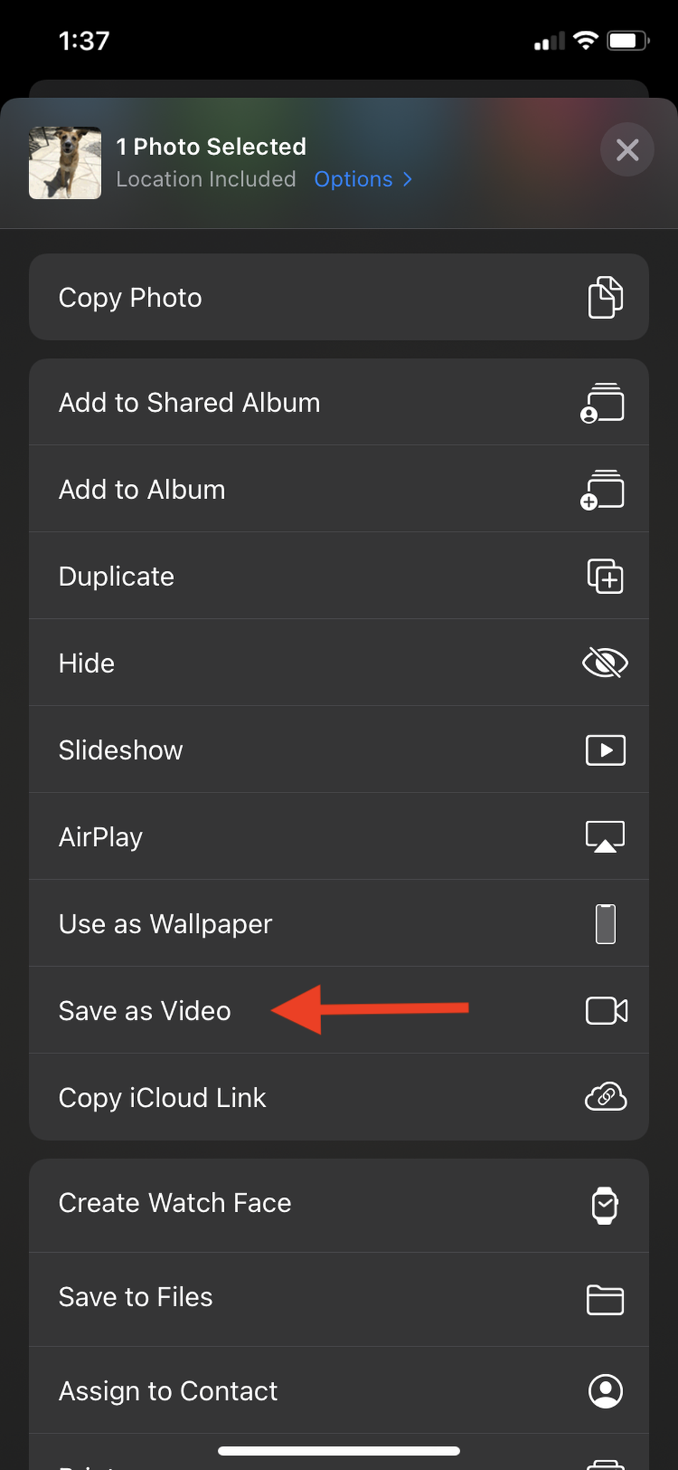 iPhone: How to save a live photo as a video 4 live photo