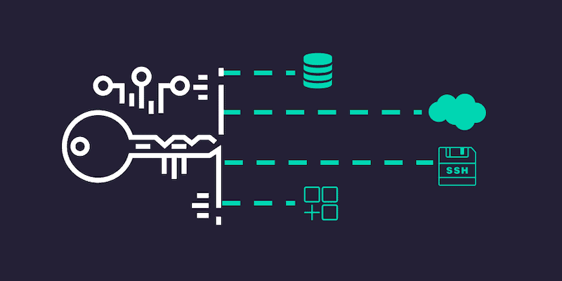 security vulnerability