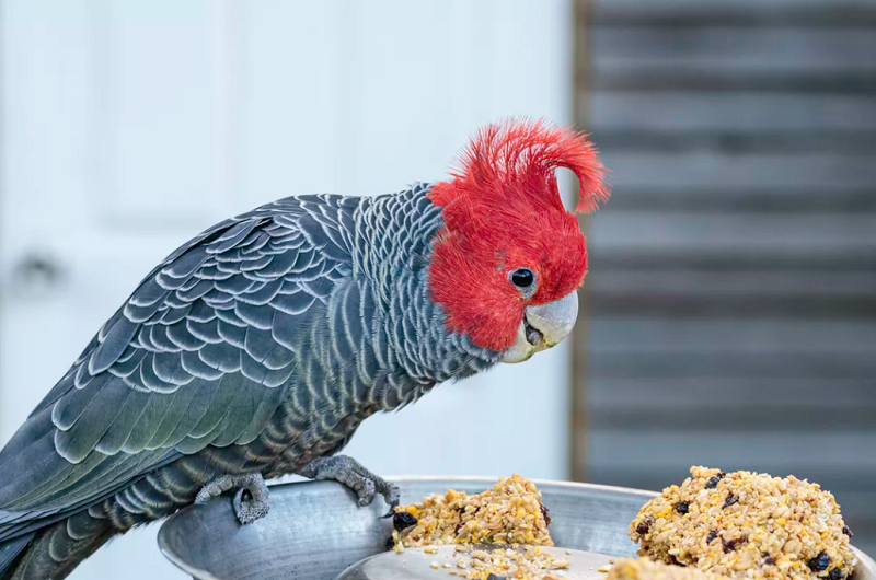 Animals are 'changing shape' in response to climate change 2 Animals are 'changing shape' in response to climate change