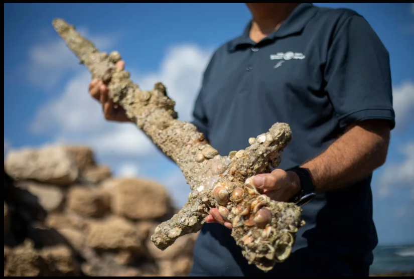 Science: Diver accidentally finds sword from the Crusades era 1 Science: Sword diver from the time of the Crusades