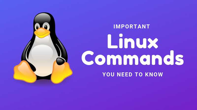 Linux