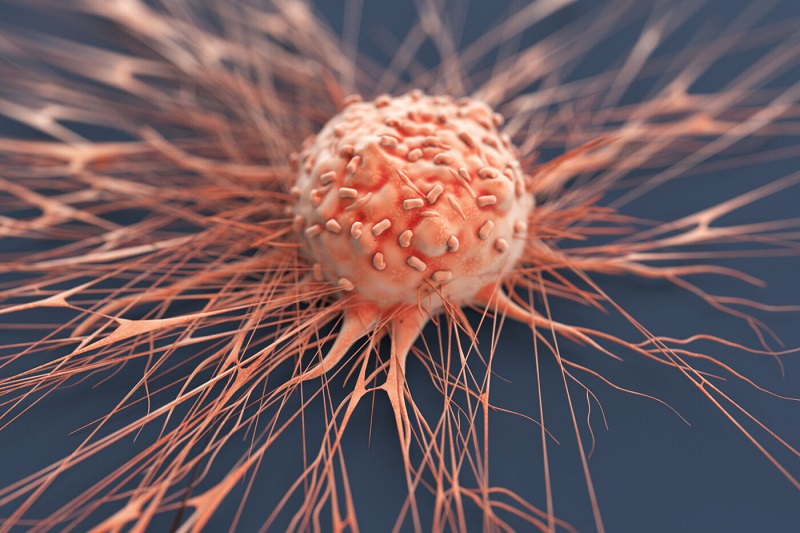 Nanocomputing shows it can control a protein function 1 Nanocomputing