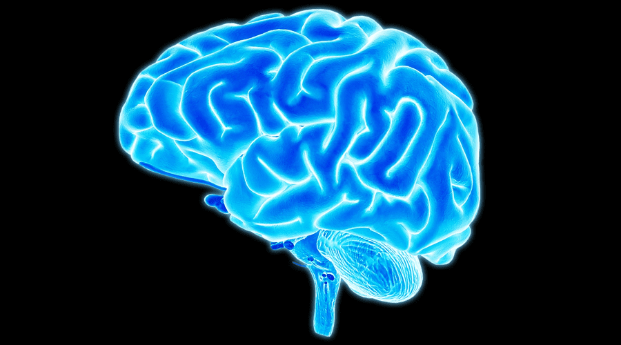 Blind woman gains artificial vision thanks to brain implant 1 vision brain implant
