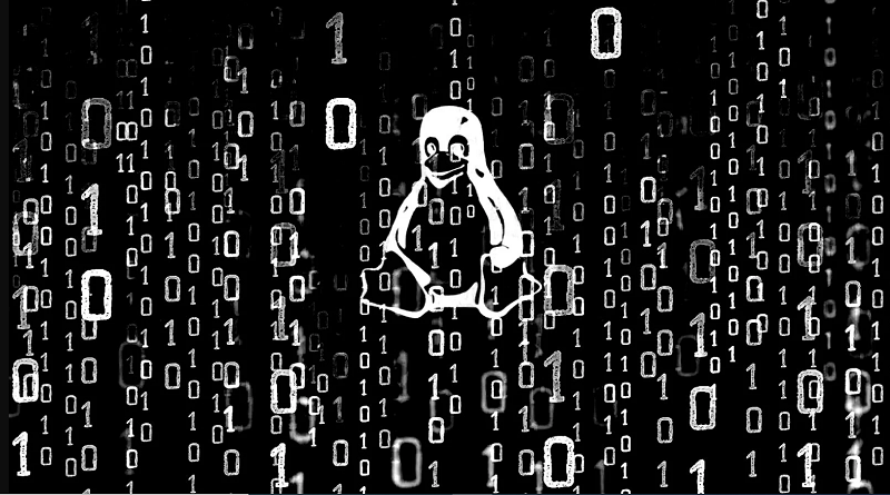 Microsoft: Huge increase in Linux XorDDoS malware activity