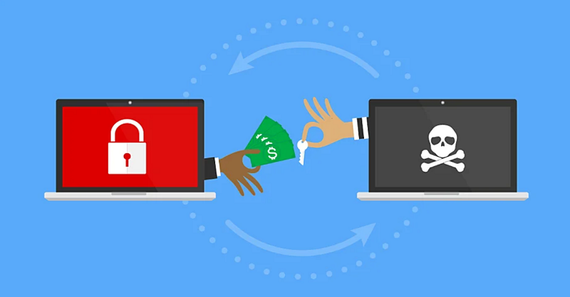 Ransomware Attacks: What Data Do Hackers Really Want? ransomware data