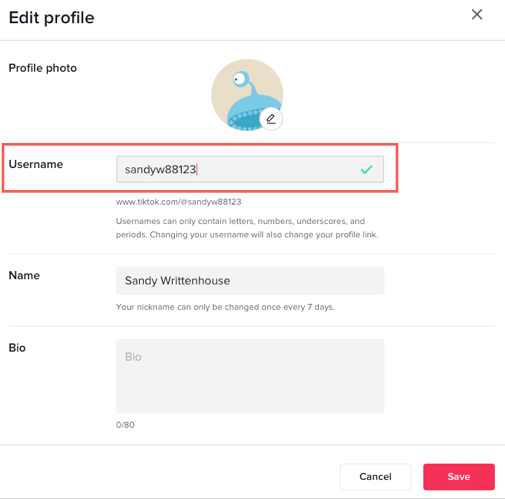 TikTok Username