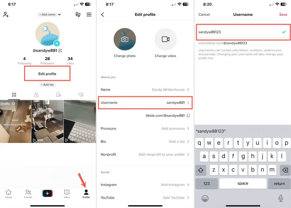 TikTok Username
