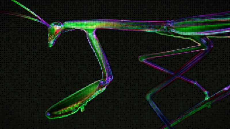 Roaming mantis dns changer malware