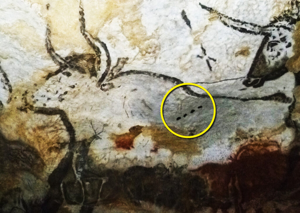 Ancient symbols to be the world's first written language 2 symbols