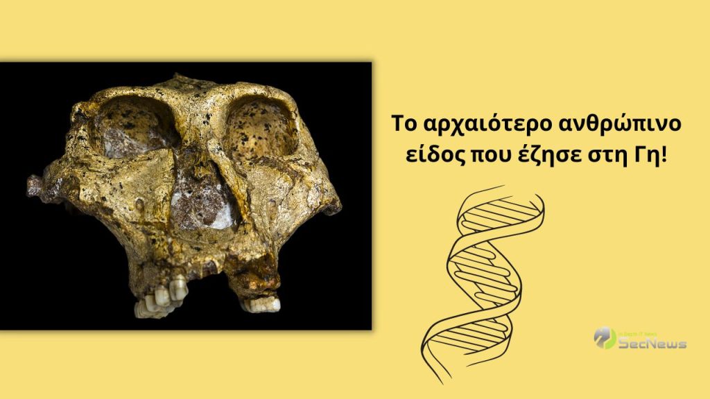 ανθρώπινο είδος