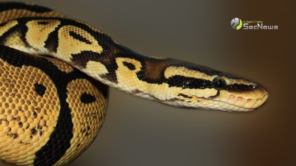 Python