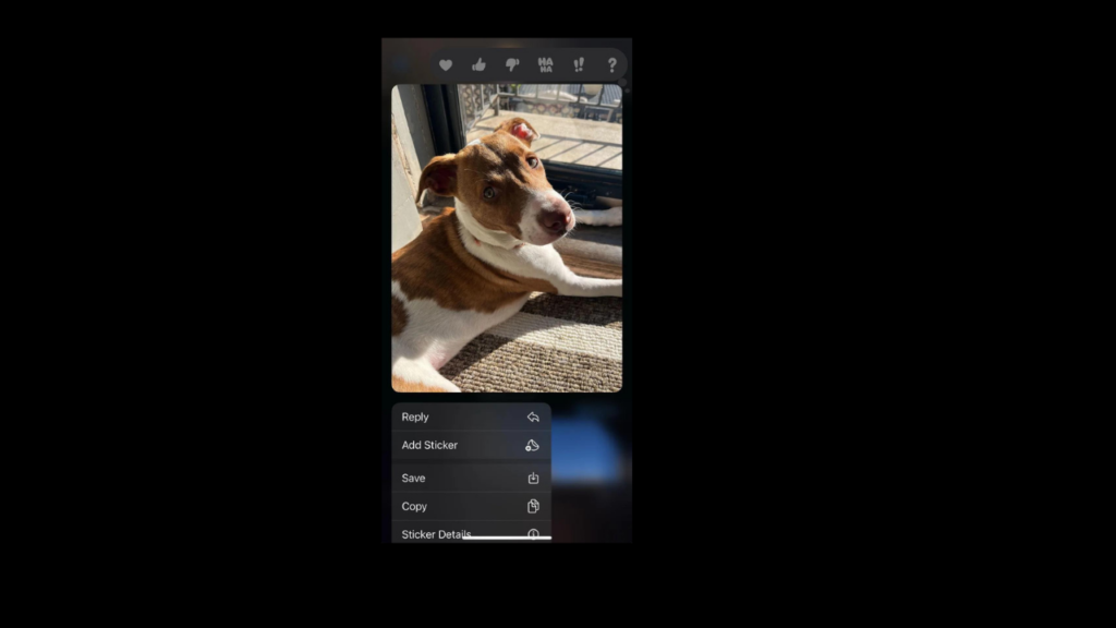 Νέα χαρακτηριστικά του iOS 17.2 Public Beta 3 2 iOS 17.2 Public Beta 3