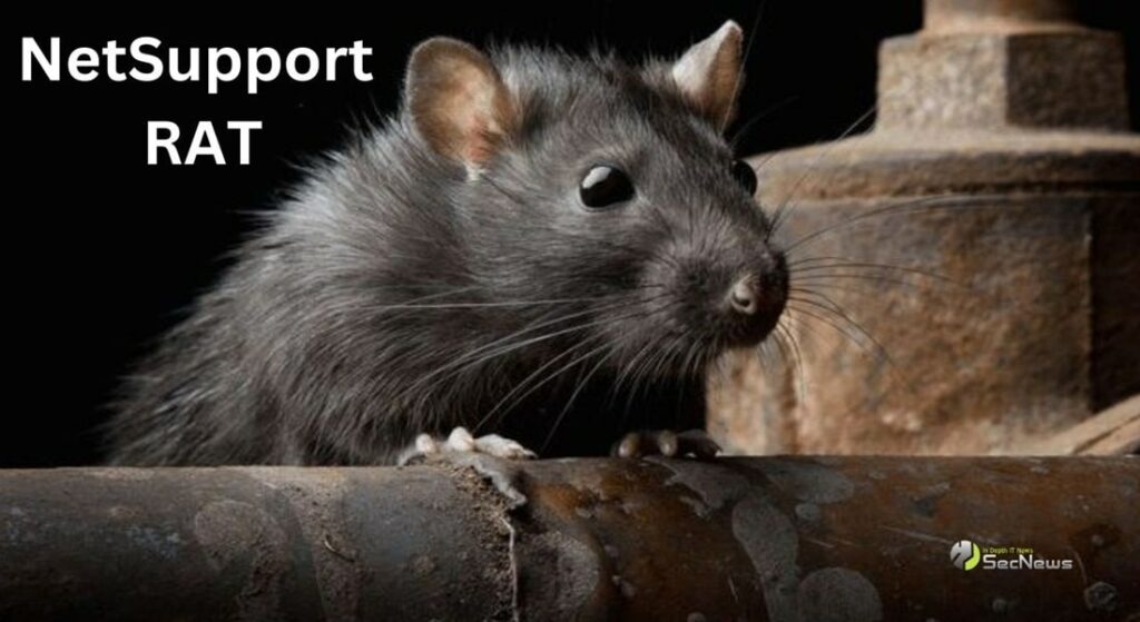 NetSupport RAT: Attacks on government and educational organizations 1 NetSupport RAT