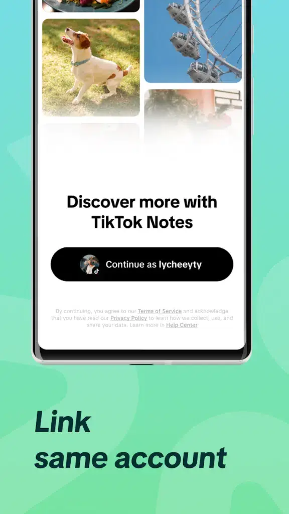 The Instagram competitor, TikTok Notes, just launched 4 TikTok Notes