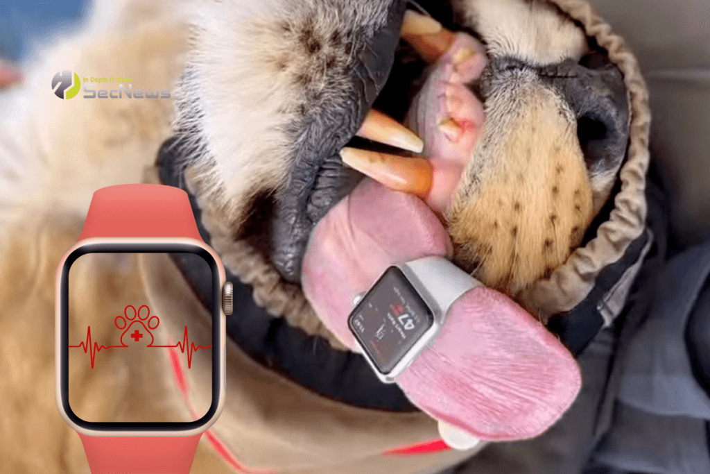 Με το Apple Watch μπορείτε να μετρήσετε ακόμη και τον καρδιακό παλμό ενός λιονταριού 1 Apple watch καρδιακός παλμός