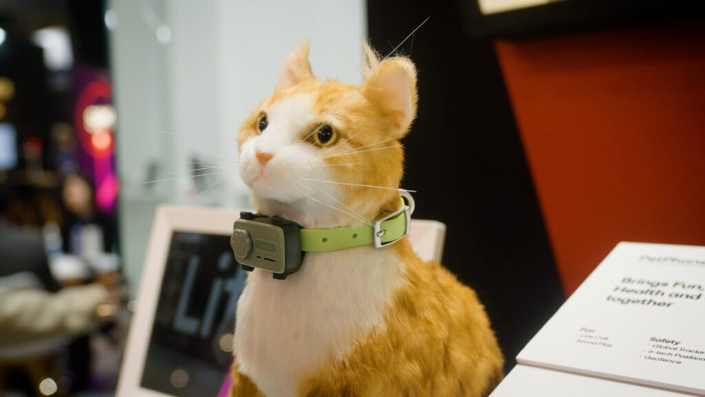PetPhone: The first «smartphone for pets» arrives in 2025 2 PetPhone: The first "smartphone for pets" is coming in 2025