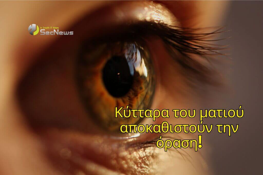 New cells discovered in the eye restore vision 1 eye new cells