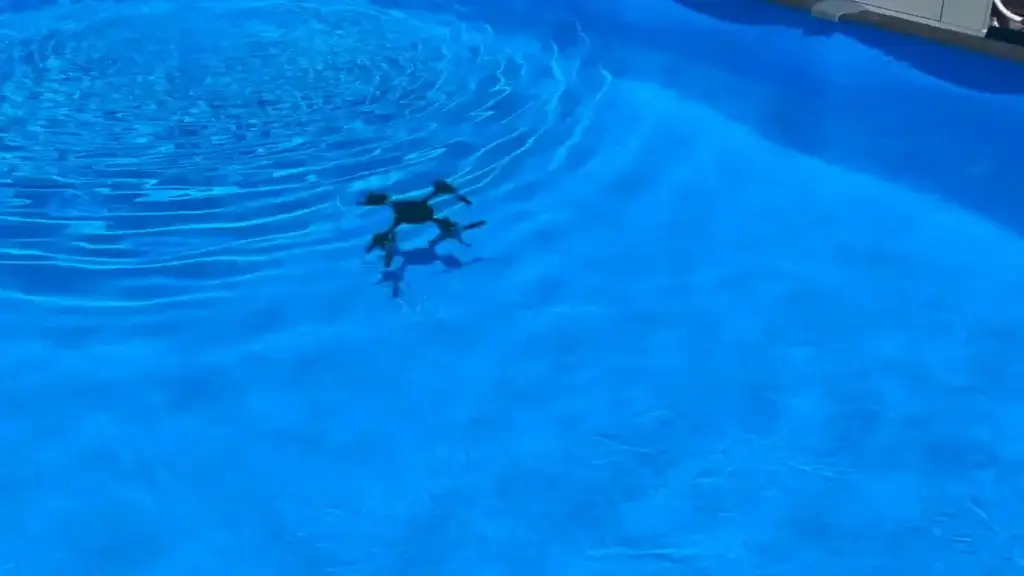 New "hybrid drone" operates in the air and on water 2 New "hybrid drone" operates in the air and on water